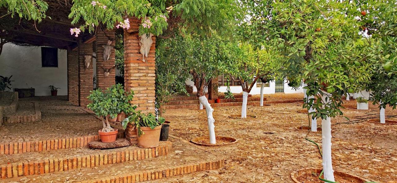 La Fuensanta Villa Hornachuelos Exterior foto