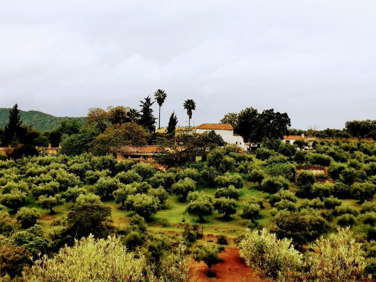 La Fuensanta Villa Hornachuelos Exterior foto